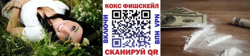 Купить закладки  Сергач  Кокаин 99% 