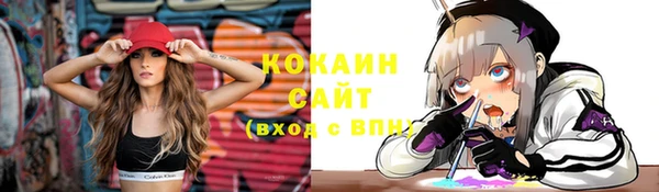 гидра Чекалин