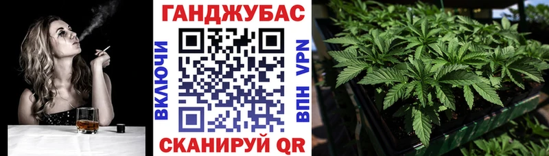 Каннабис план  Купить закладки  Сергач